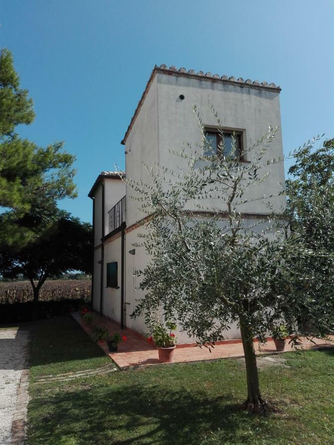 Silos Torrenova Potenza Picena Bagian luar foto